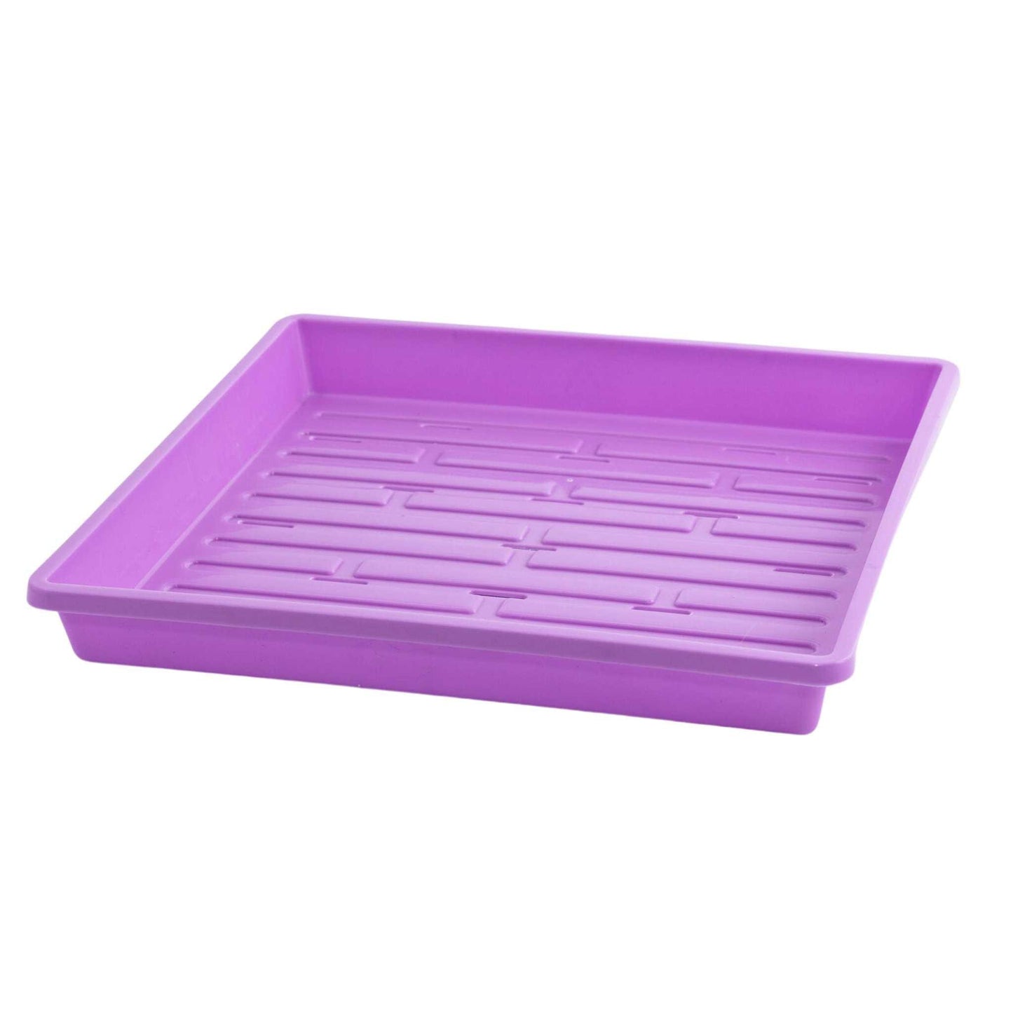 1010 Shallow Seed Trays 10 Trays / Purple / With Holes Bootstrap Farmer