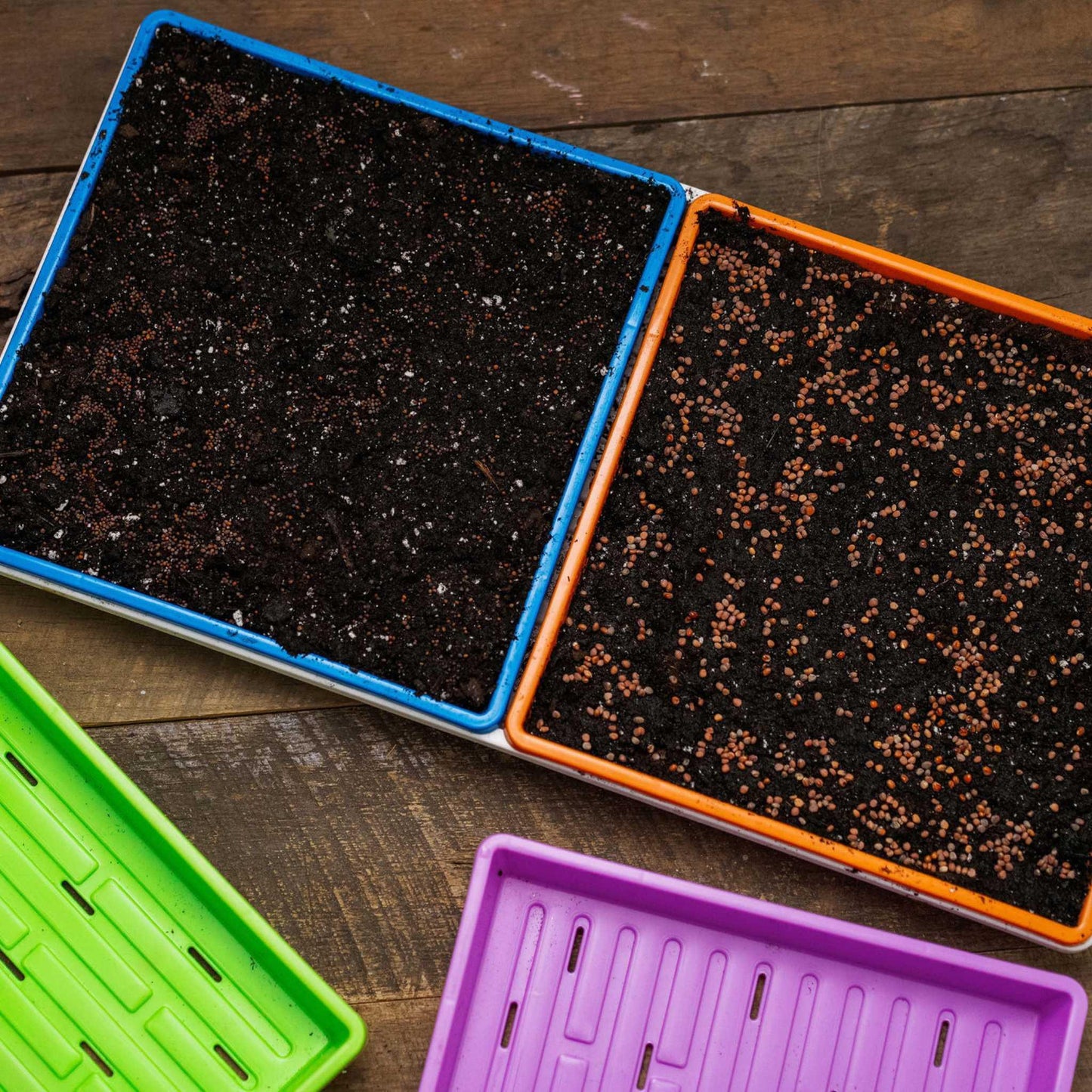 1010 Shallow Seed Trays Bootstrap Farmer