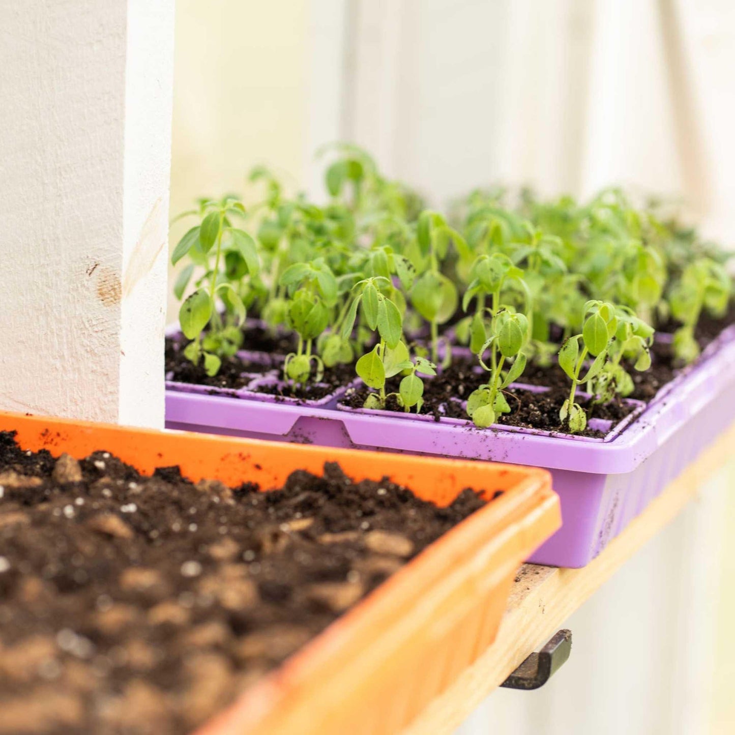 1020 Seed Starting Trays Bootstrap Farmer