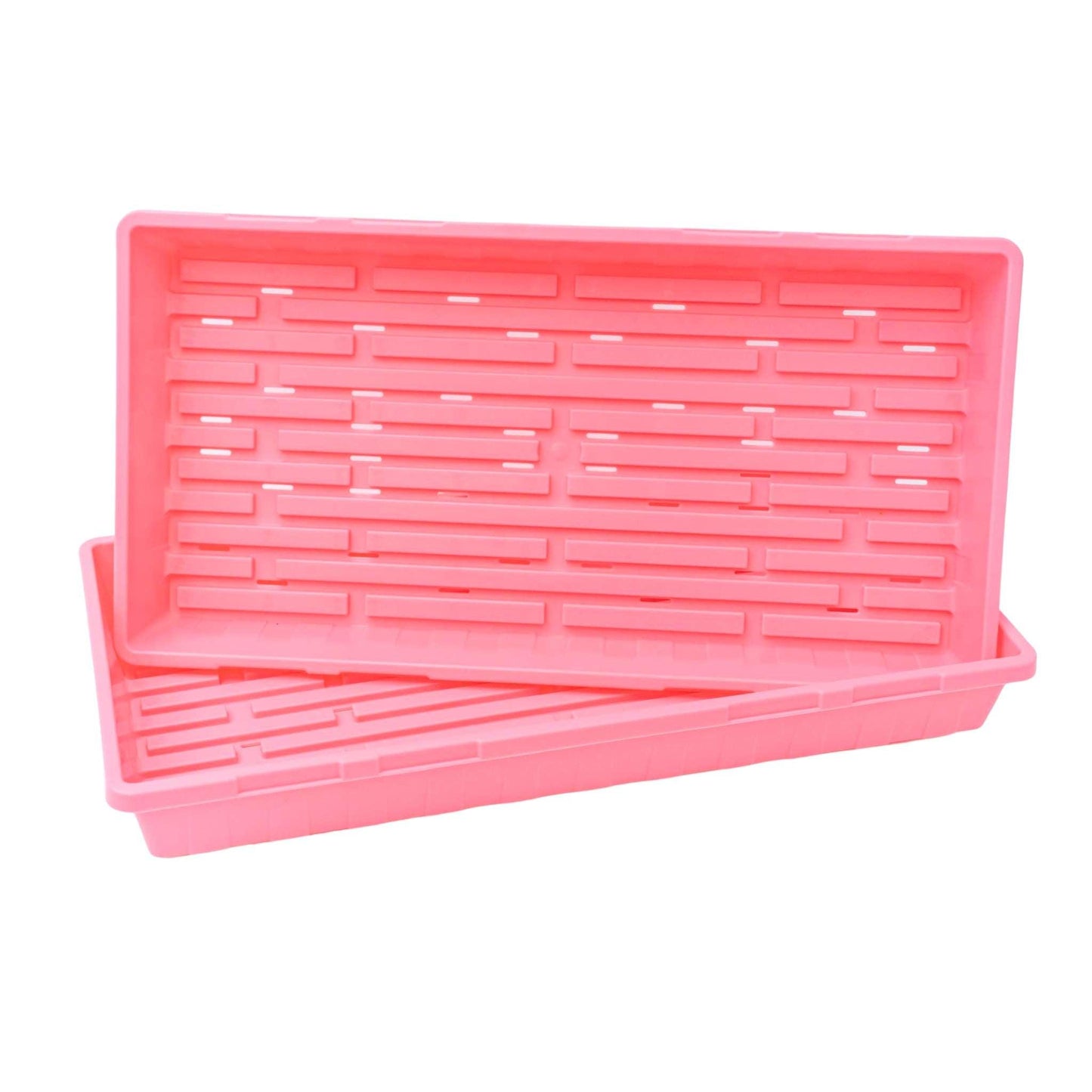 1020 Seed Starting Trays Pink / 1 Tray / With Holes Bootstrap Farmer