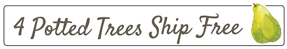 Promotional banner showing “4 Potted Trees Ship Free” with a green pear illustration on the right side.