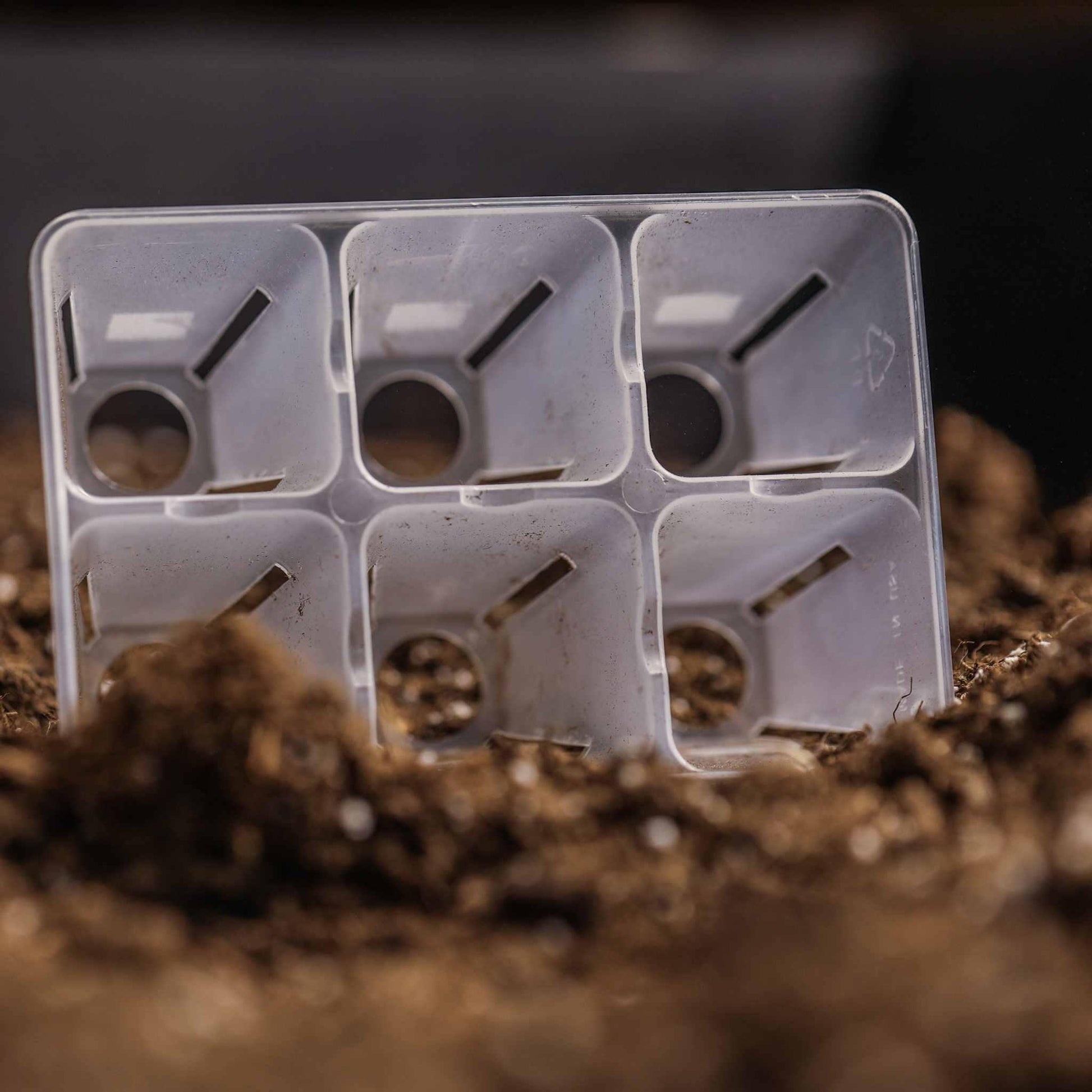 6 Cell Plug Tray Inserts Bootstrap Farmer