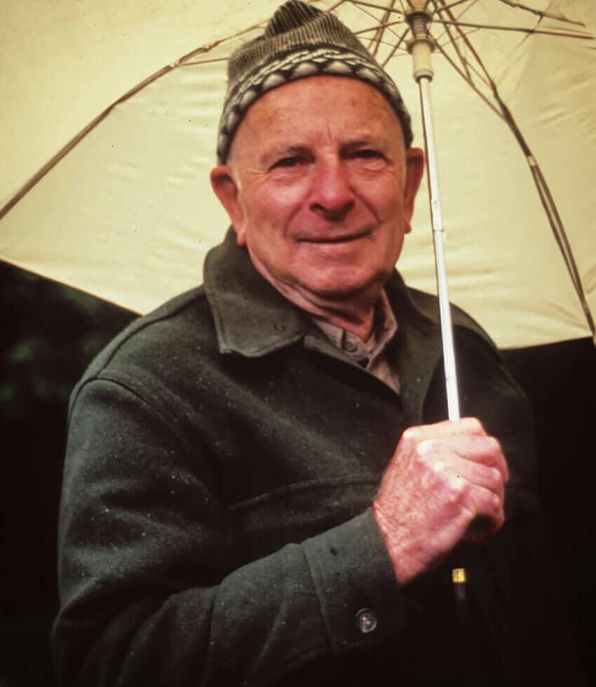 Erigeron Glaucus - Wayne Roderick Grow Organic