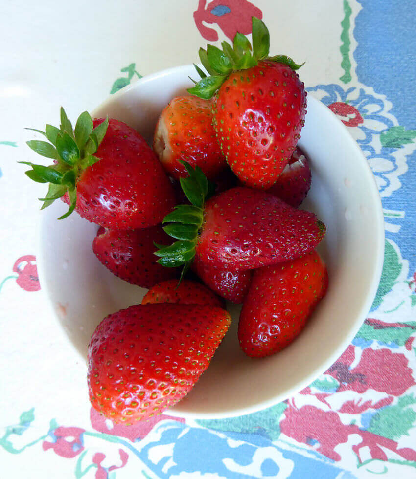 Fragaria X Ananassa - Elan Grow Organic