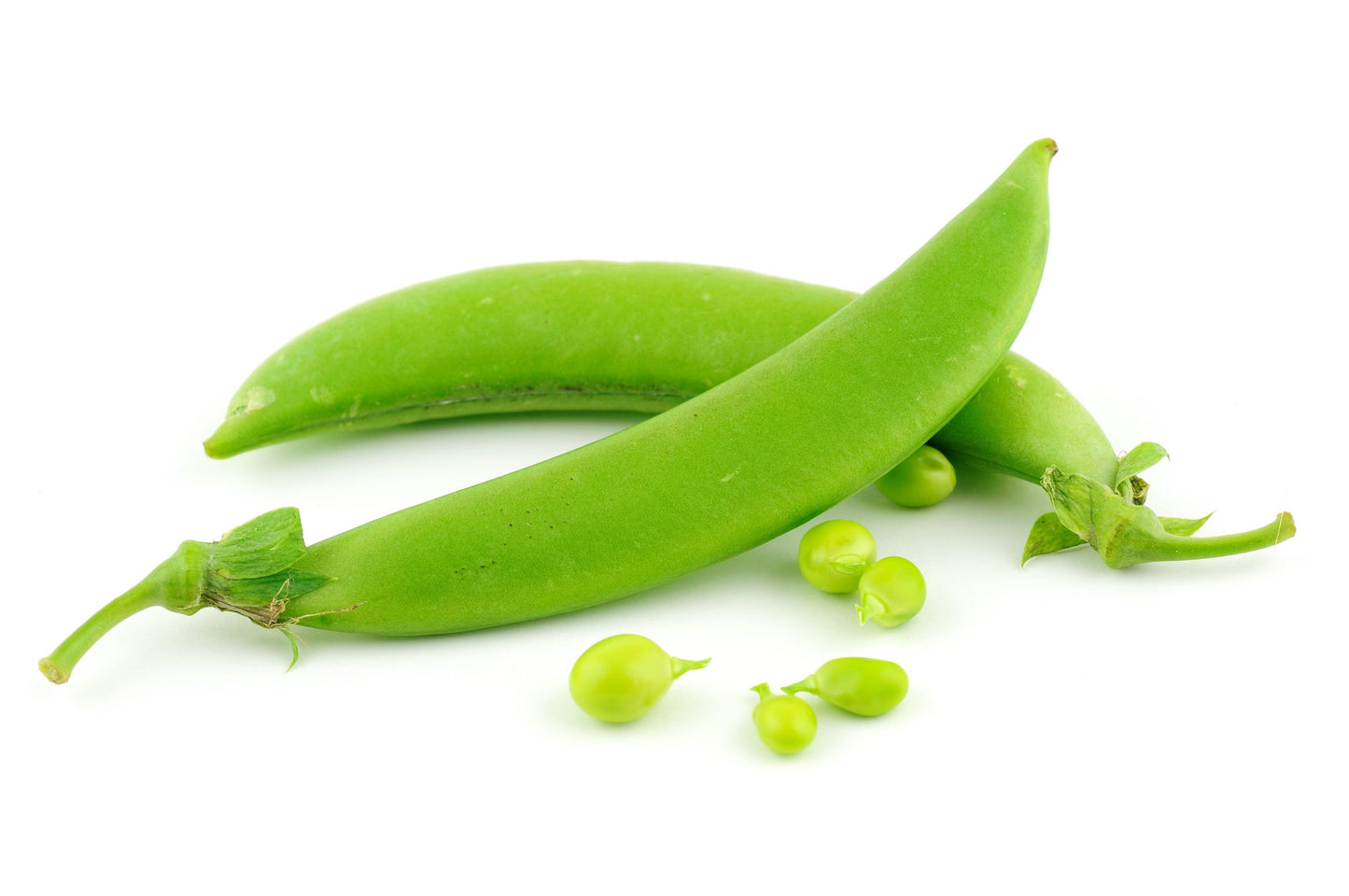 Organic Cascadia Sugar Snap Pea Grow Organic