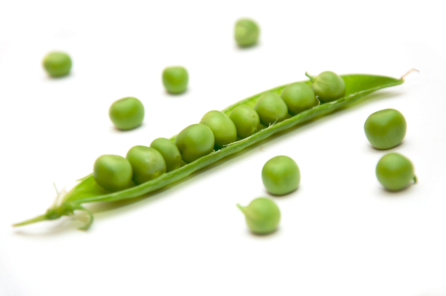 Organic Green Arrow Shelling Pea Grow Organic