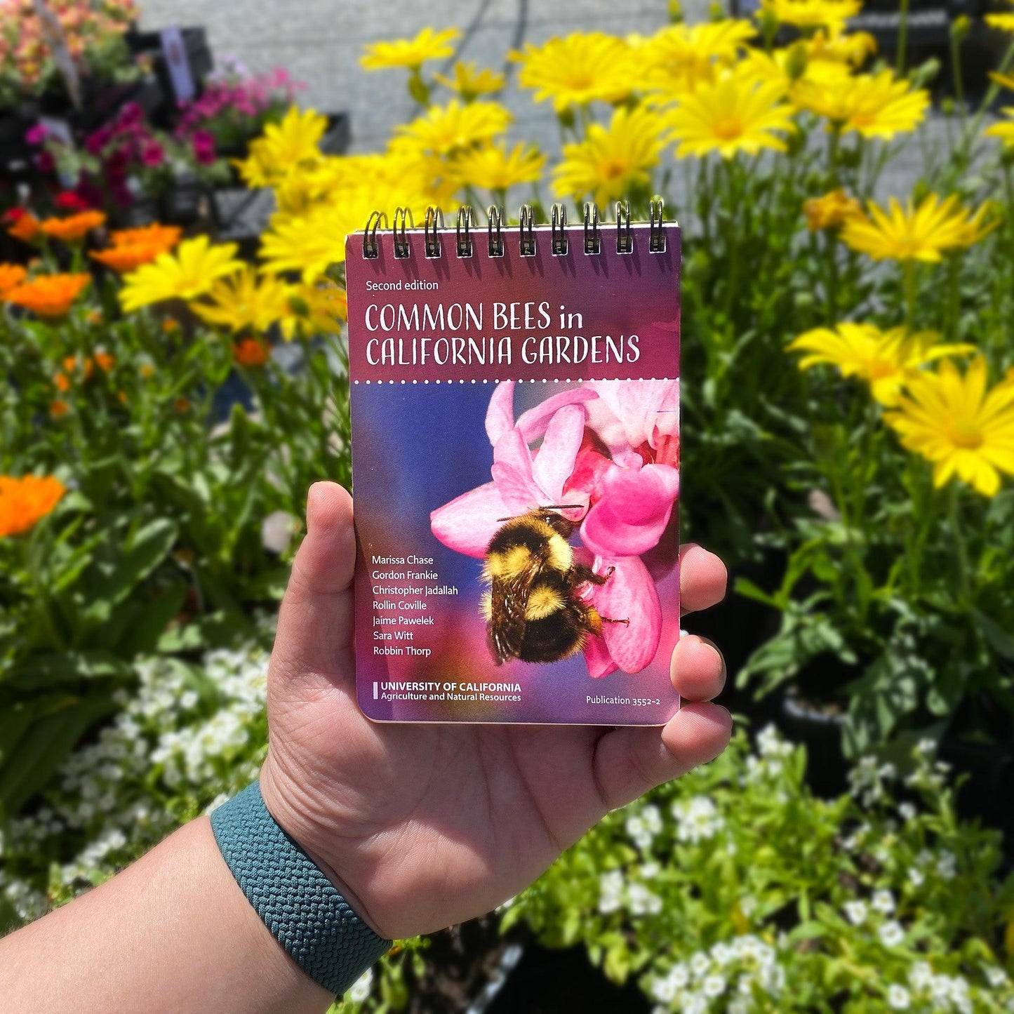 Common Bees in California Gardens ID Cards Grow Organic