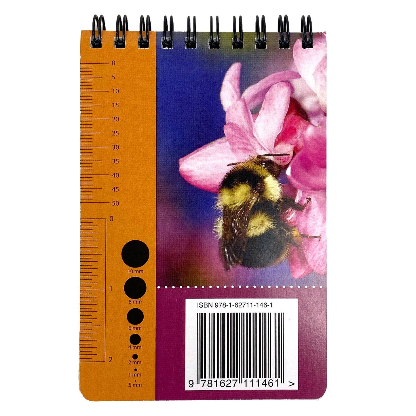Common Bees in California Gardens ID Cards Grow Organic