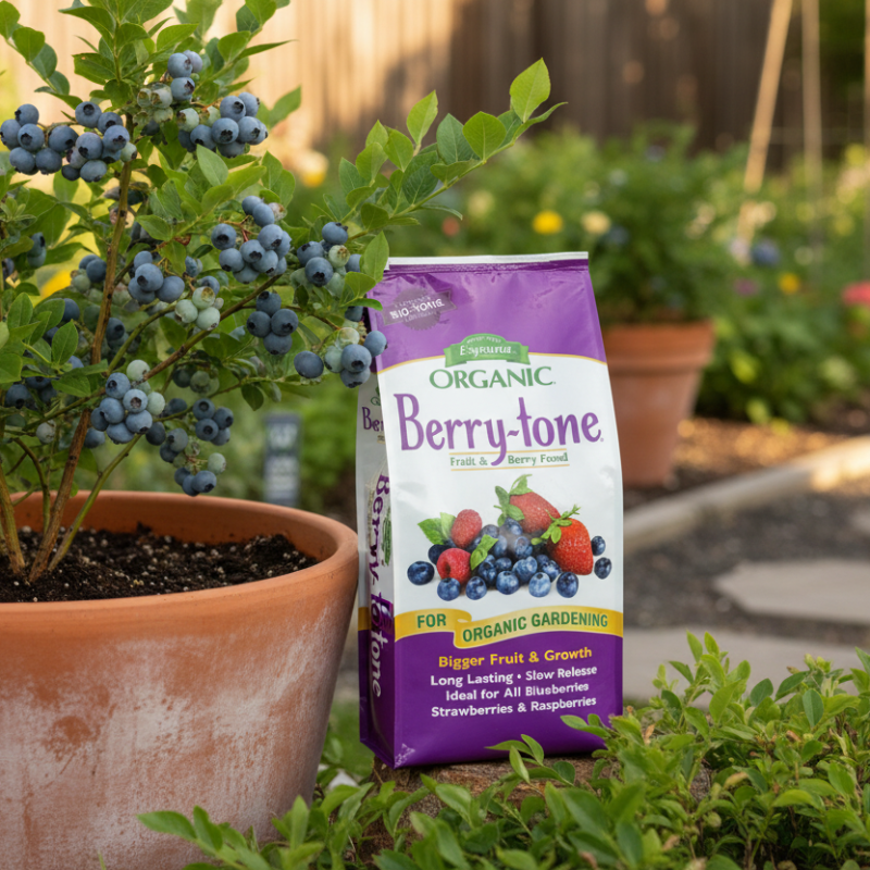 fertilizer for blackberries plants Espoma Organic Berry-Tone (4 lb)