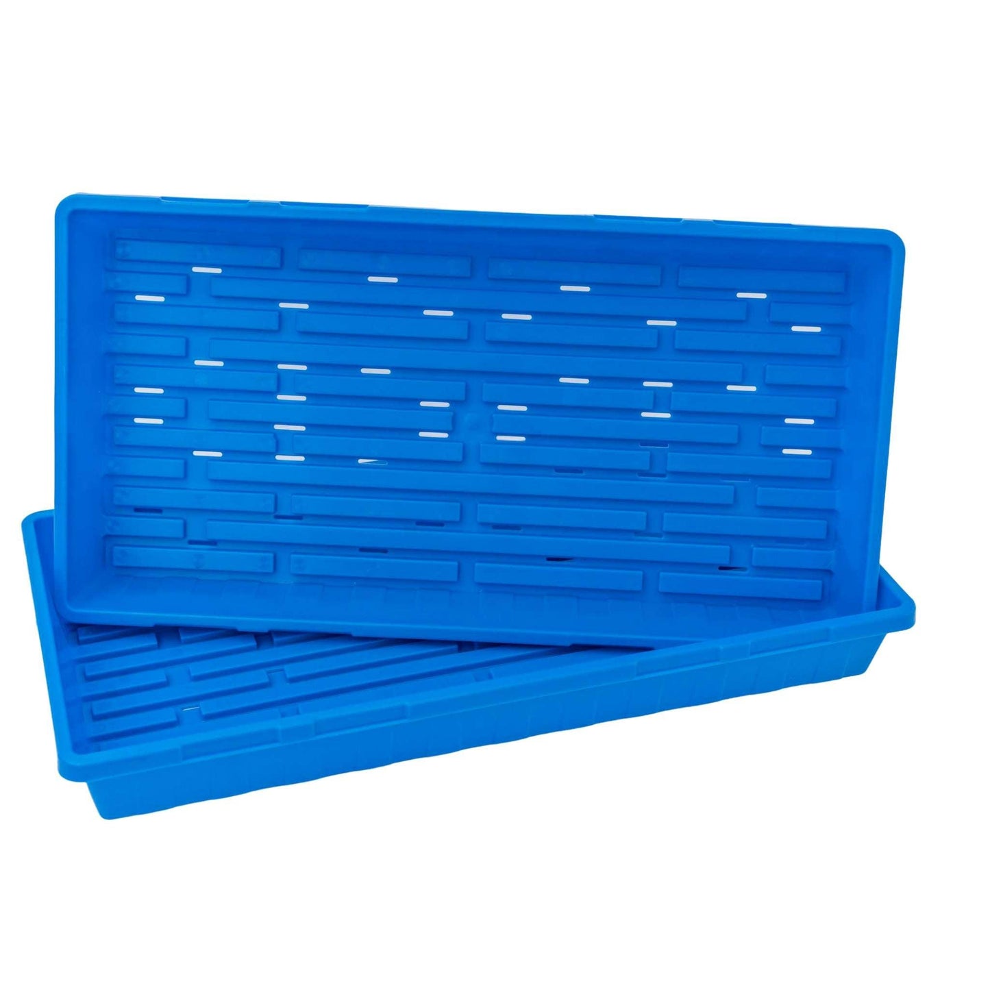 1020 Seed Starting Trays Blue / 1 Tray / With Holes Bootstrap Farmer