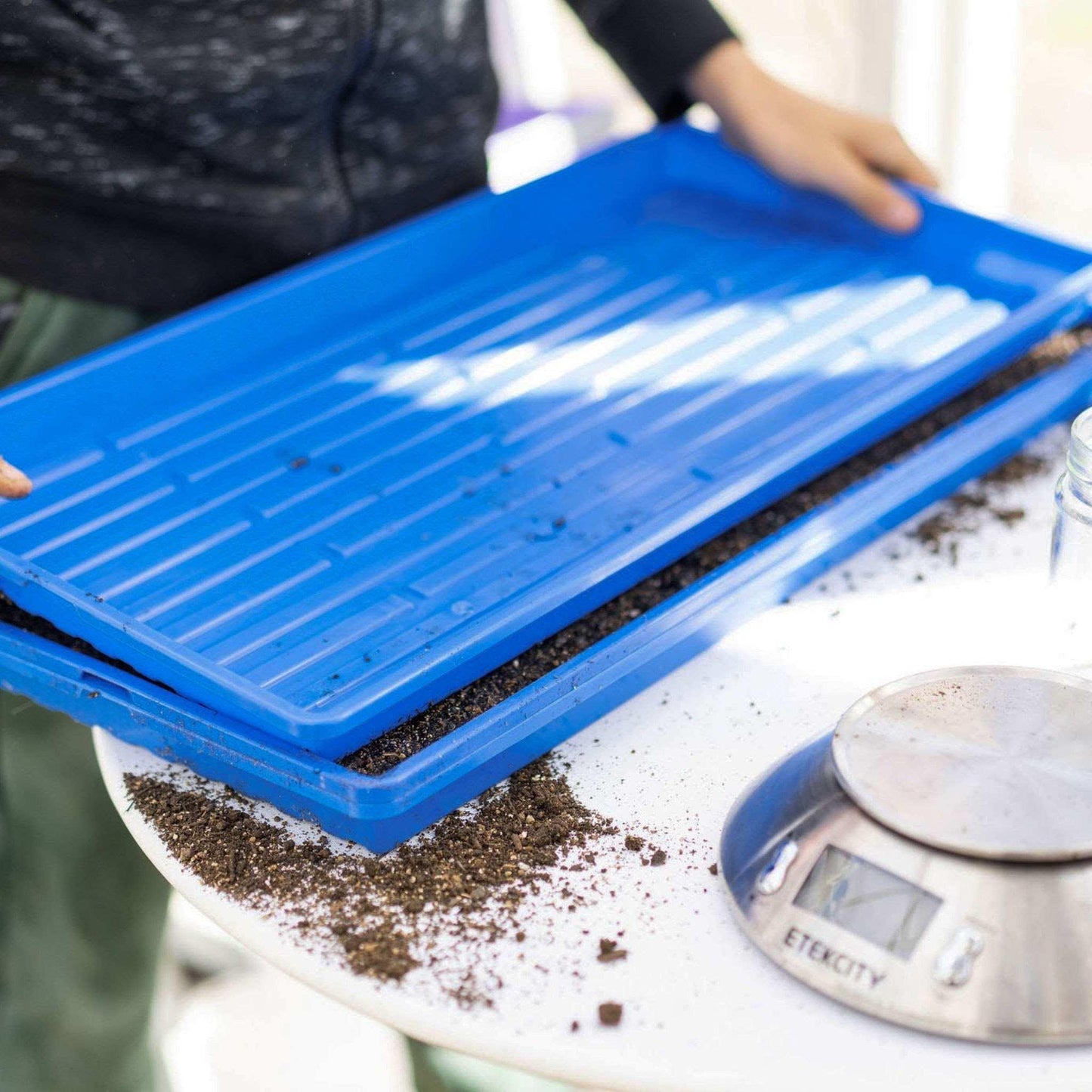 1020 Microgreen Trays Shallow Extra Strength Bootstrap Farmer