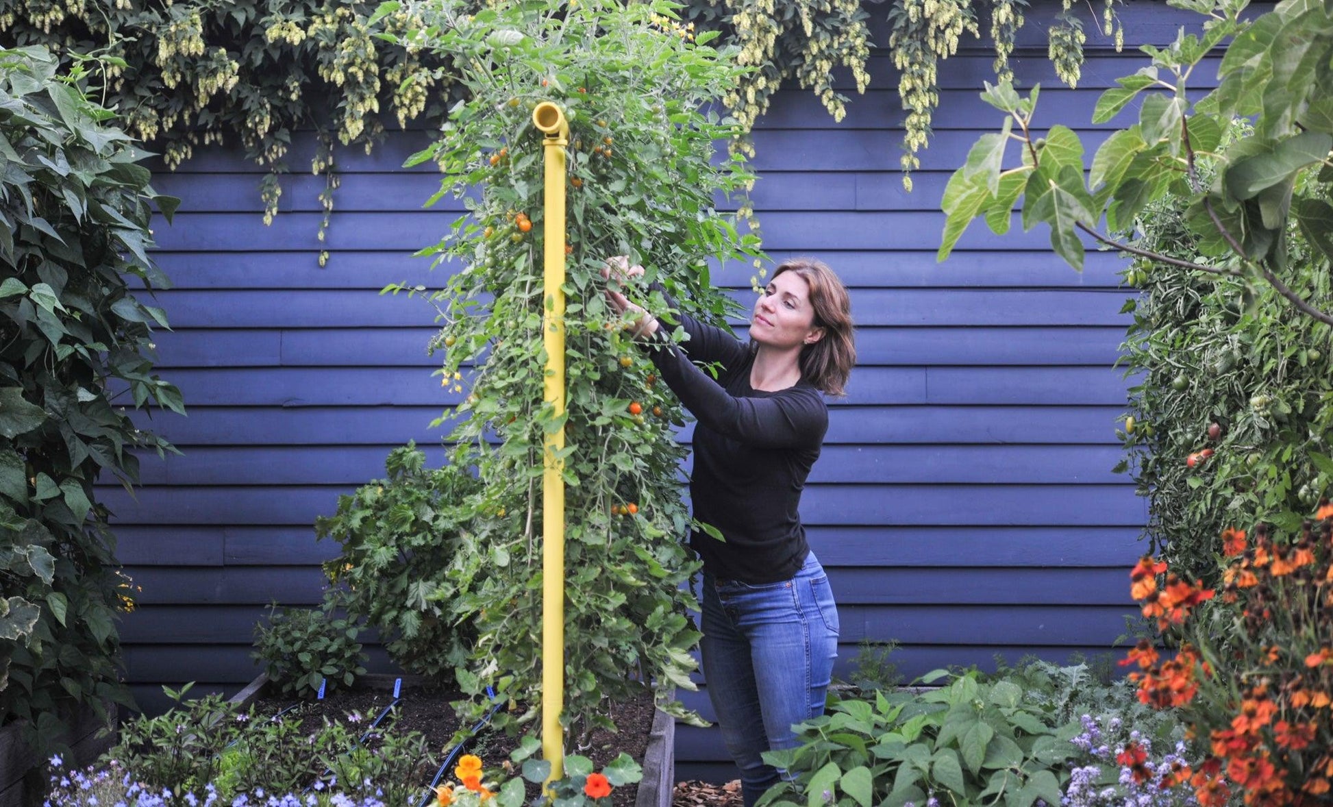 Freyr Trellis Seattle Urban Farm