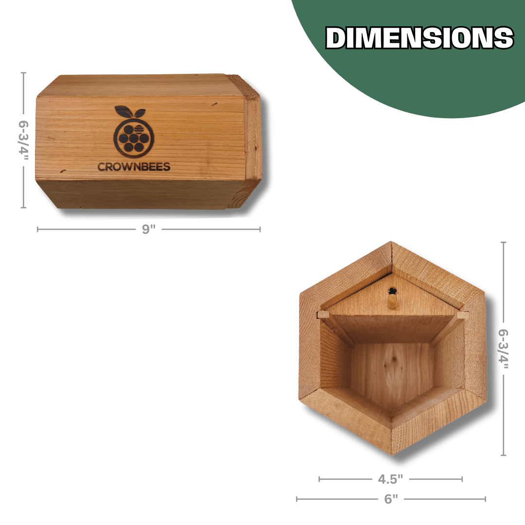 Cabana Bee House - Small Hex CrownBees