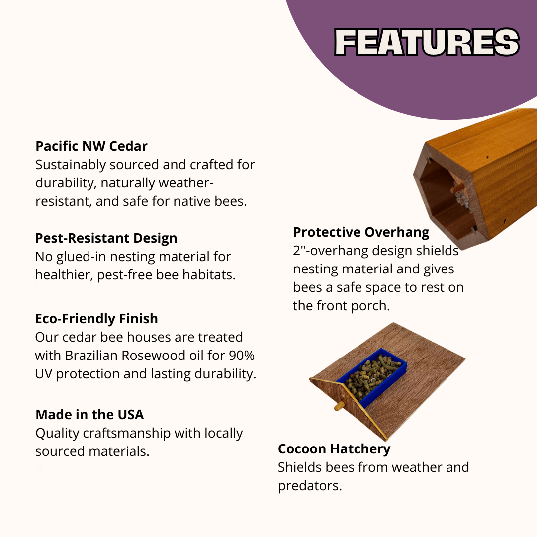 Cabana Bee House - Small Hex CrownBees