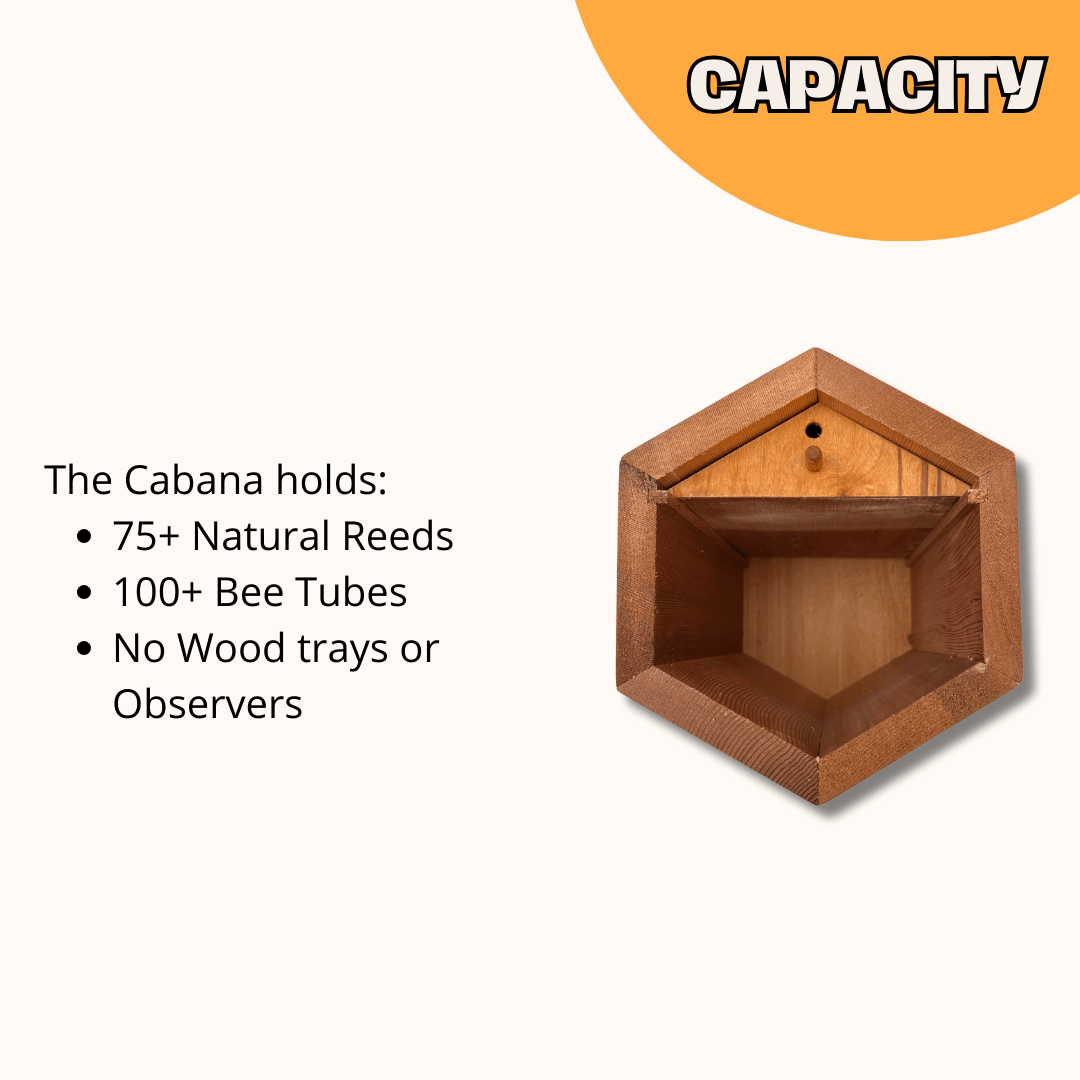 Cabana Bee House - Small Hex CrownBees
