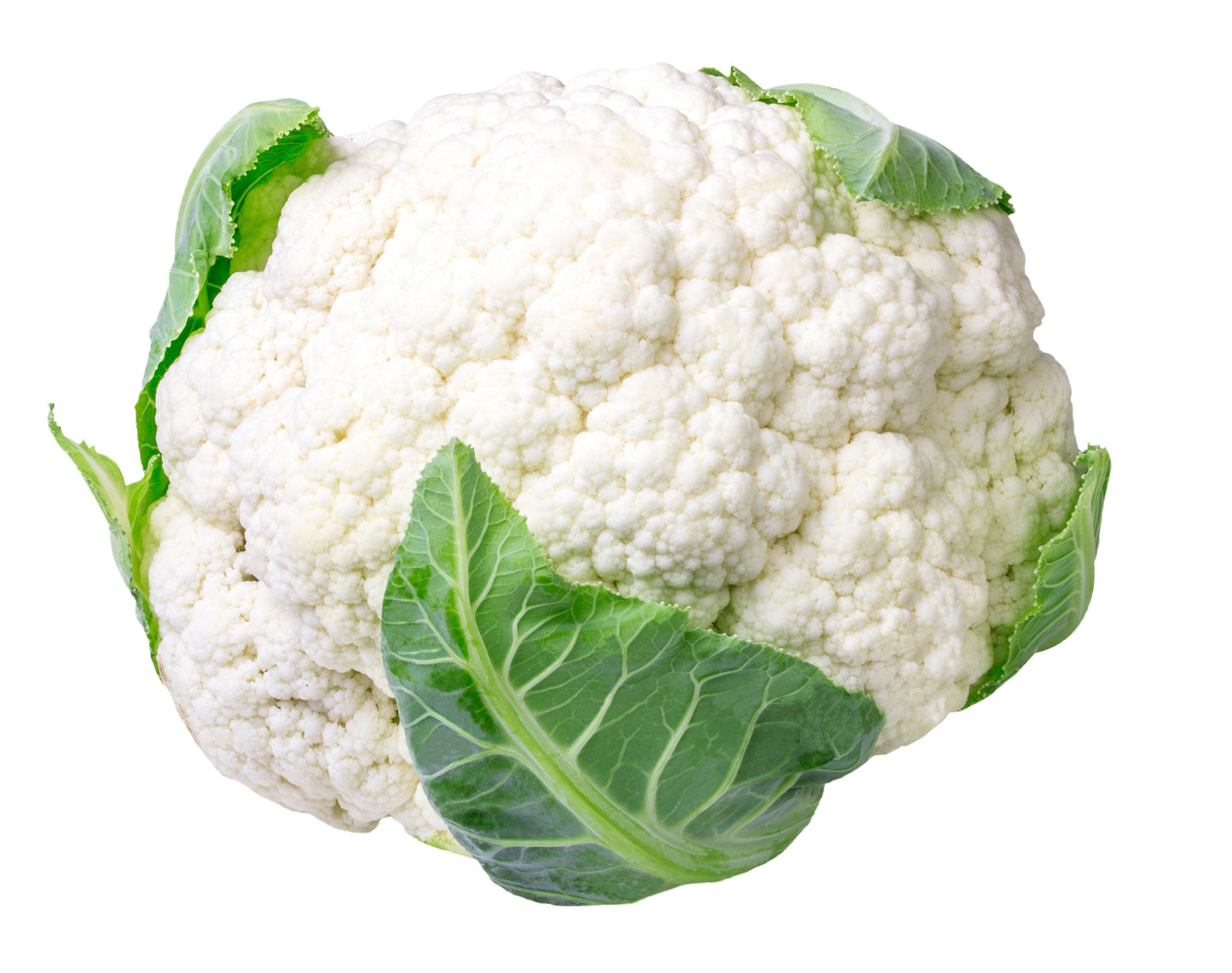 Organic Flamenco Cauliflower Grow Organic