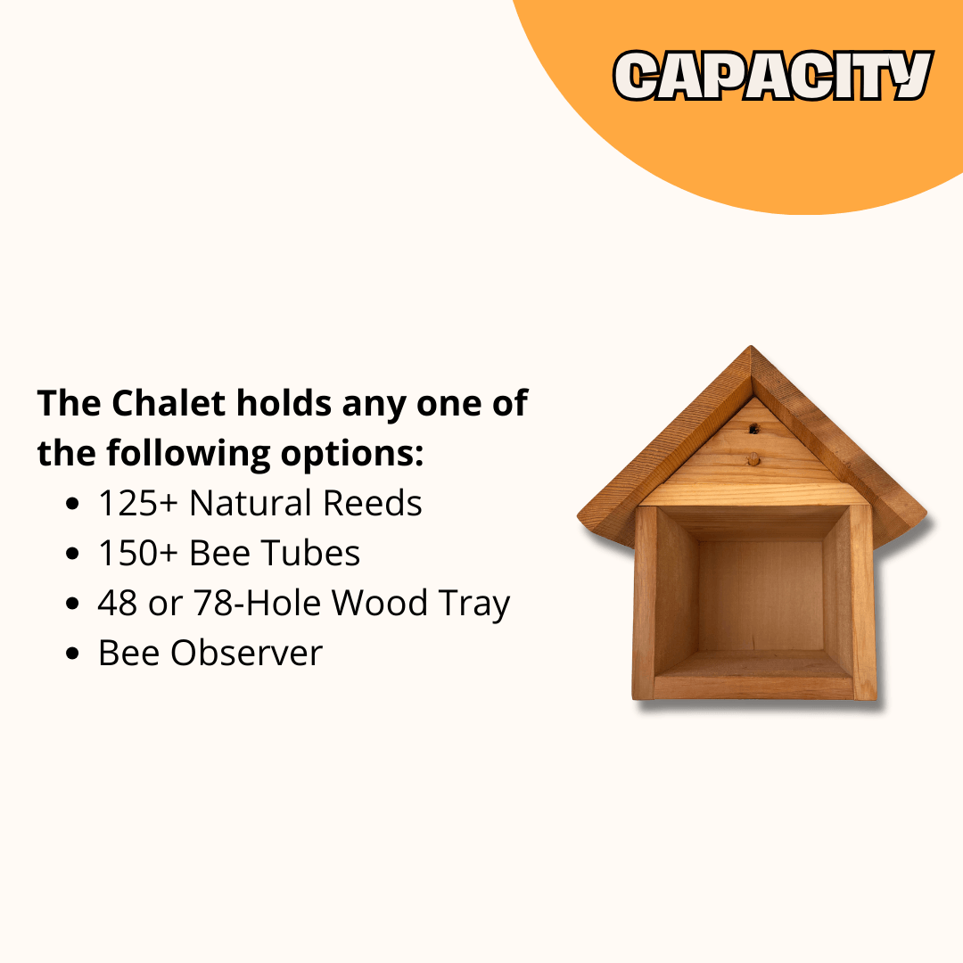 Chalet Bee House CrownBees