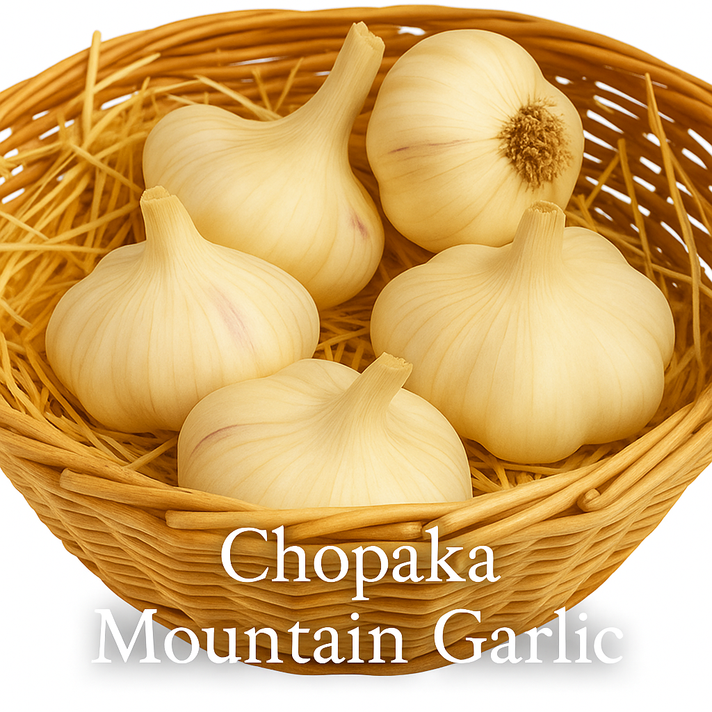 Full of Flavor Curated Organic Garlic Pack Grow Organic