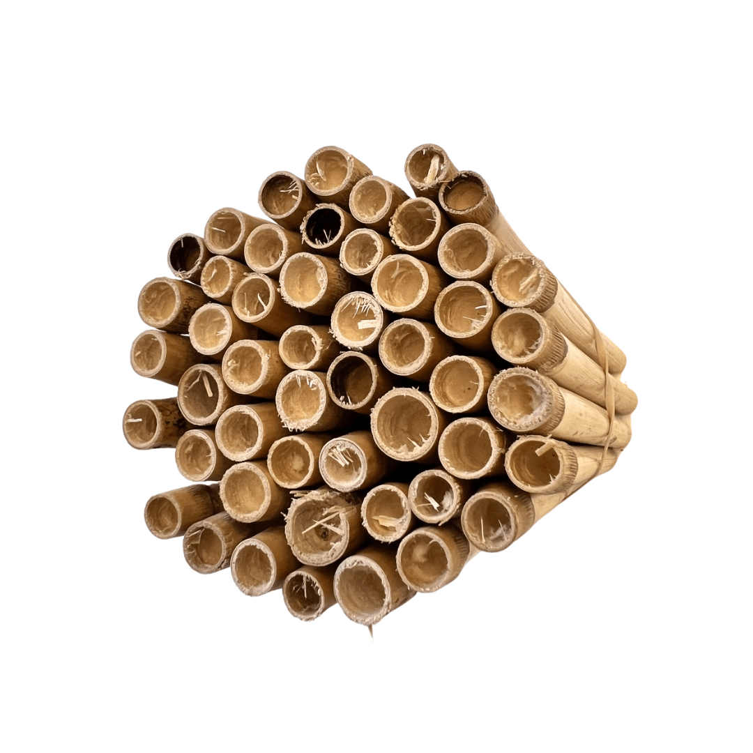 Spring Natural Reeds for Mason Bees - 8mm CrownBees