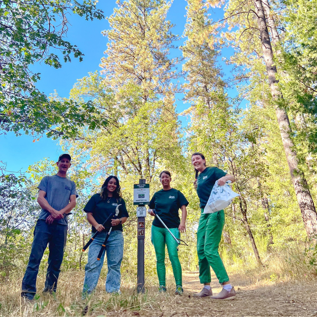 Four people standing in a forested area with trees and a clear blue sky.