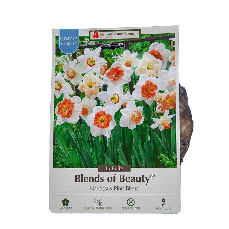 Narcissus Pink Blend (15pk) Netherland Bulb Company