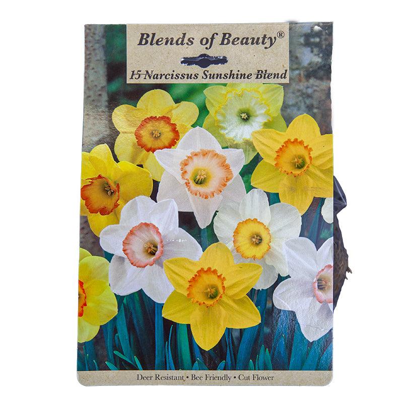 Daffodil Hello Sunshine Blend (Pack of 15) Netherland Bulb Company