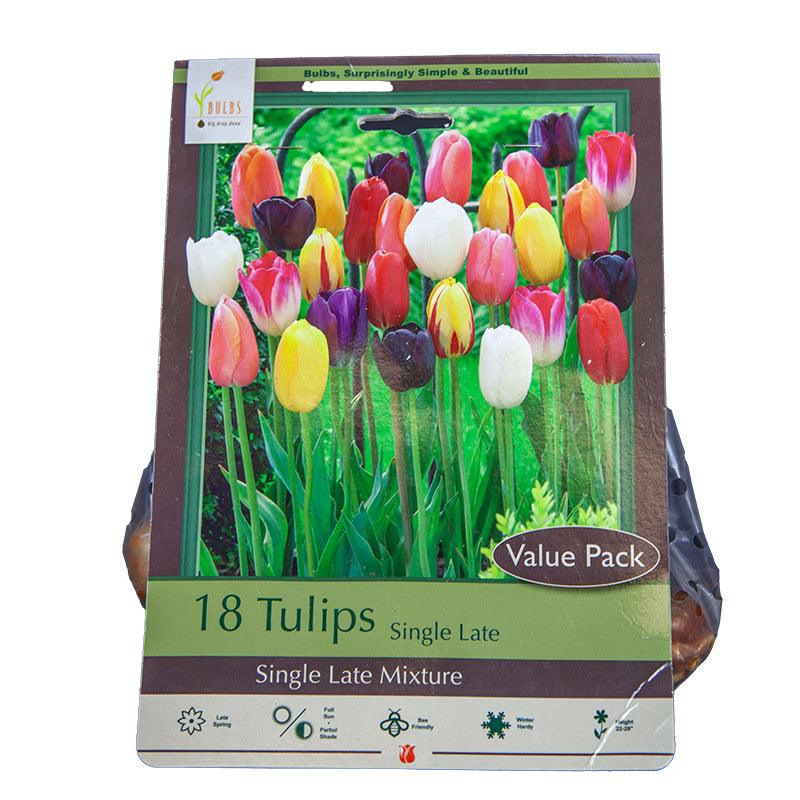 Tulips Single Late Mix (Pack of 18) Netherland Bulb Company