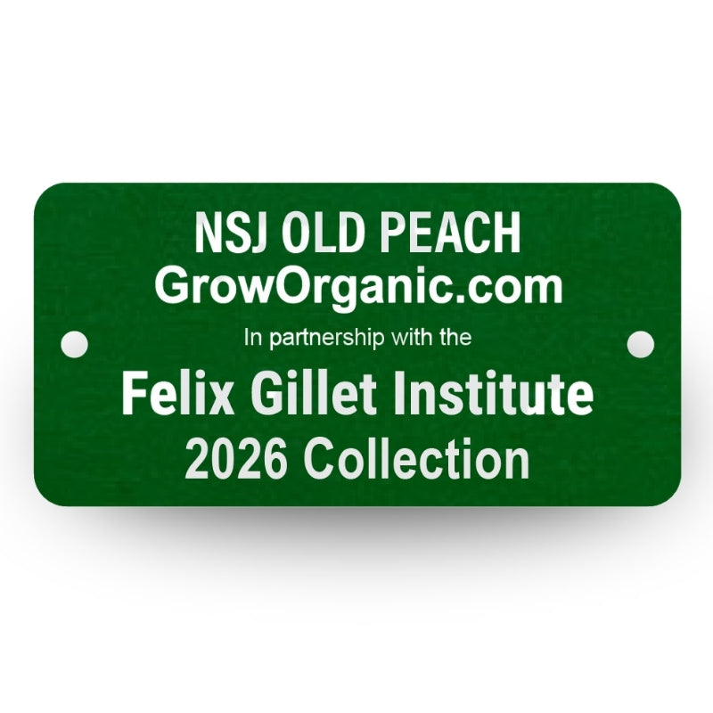NSJ Old Peach Tree Felix Gillet Institute