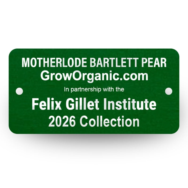 Motherlode Bartlett Pear Felix Gillet Institute