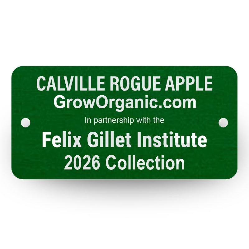 Calville Rogue Apple Tree Felix Gillet Institute