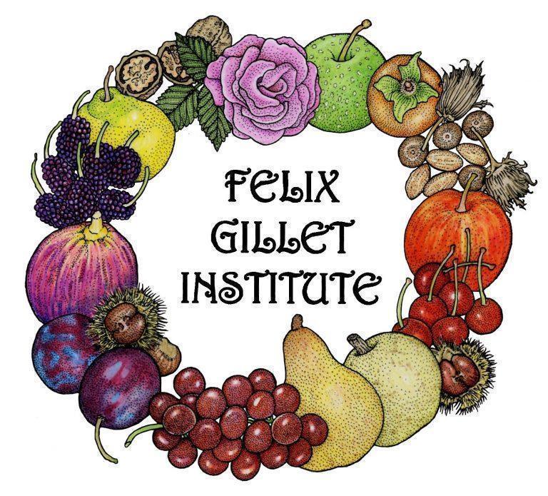 Scarlet Apple Tree Felix Gillet Institute