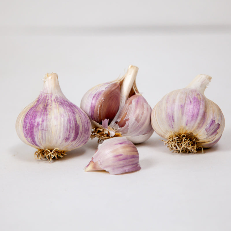 Music Garlic (Lb) Grow Organic
