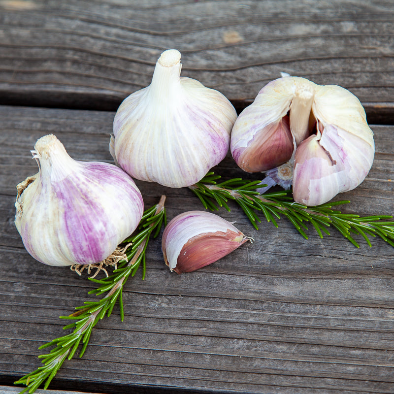 Music Garlic (Lb) Grow Organic