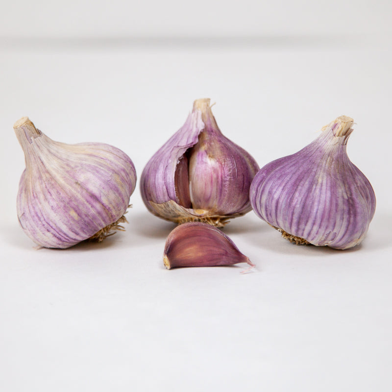 Organic Red Chesnok Garlic (lb) Grow Organic