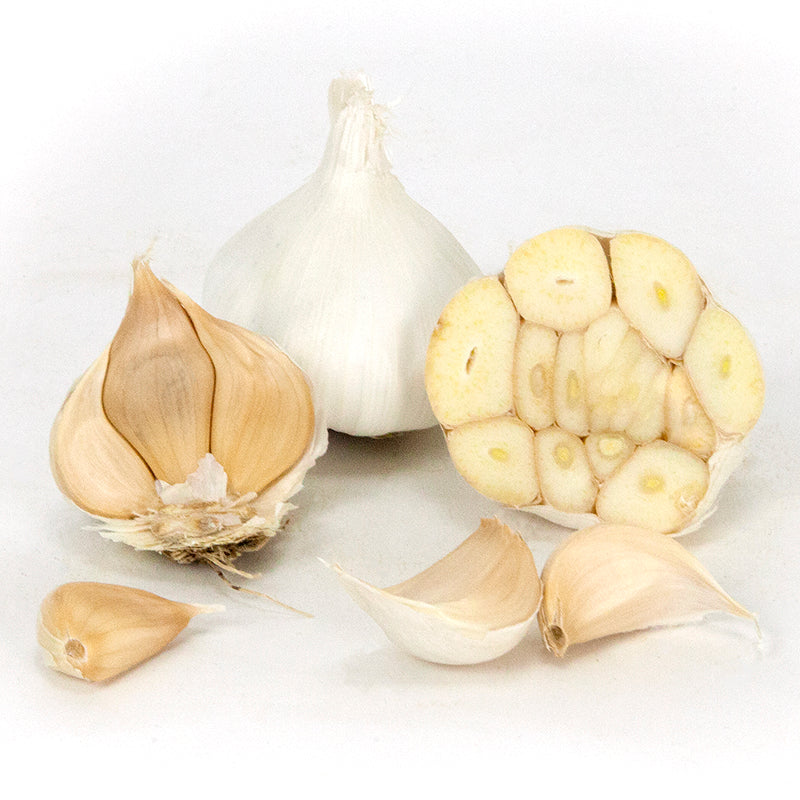 Early Purple Italian Softneck Garlic product photo