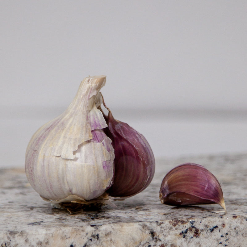 Organic Norquay Garlic (lb) Grow Organic