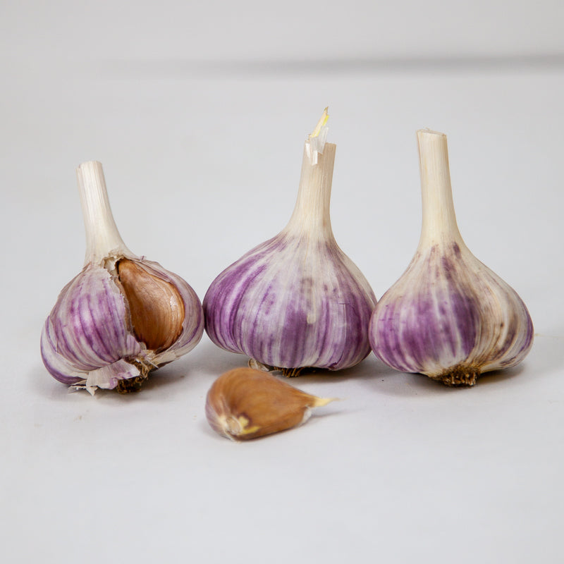 Georgian Fire Garlic (Lb) Grow Organic