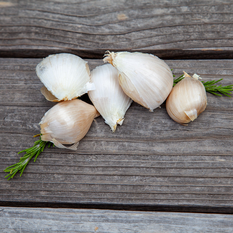Elephant Garlic (Lb) Grow Organic