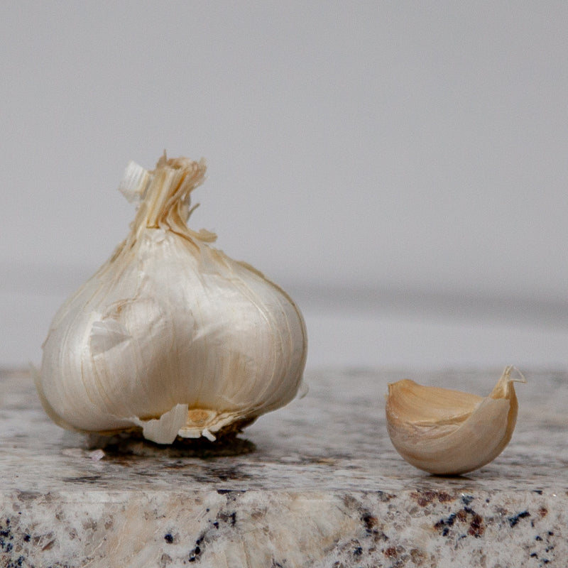 California Early White Garlic (Lb) Grow Organic