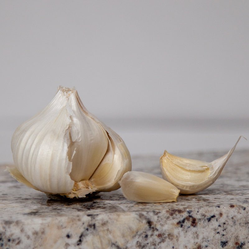 California Early White Garlic (Lb) Grow Organic