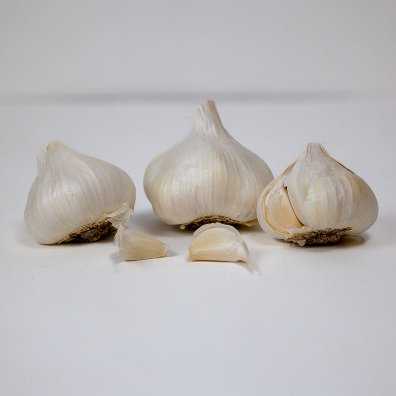 California Early White Garlic (Lb) Grow Organic