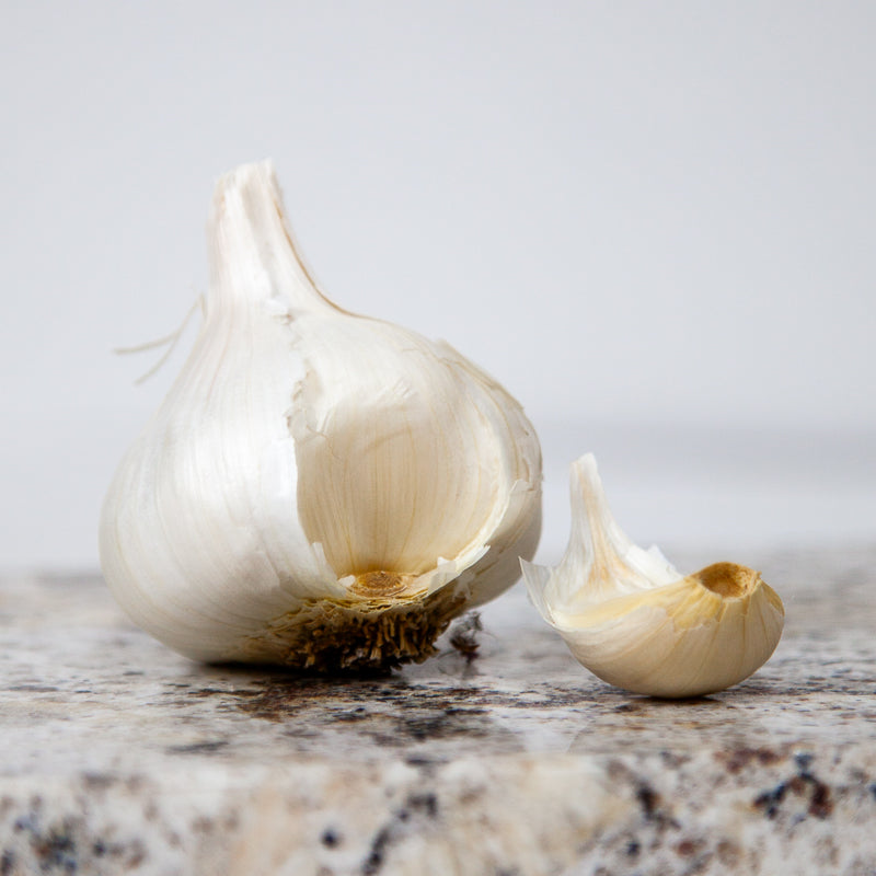 Organic Inchelium Red Garlic (lb) Grow Organic