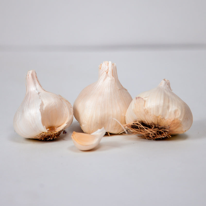 Organic Inchelium Red Garlic (lb) Grow Organic