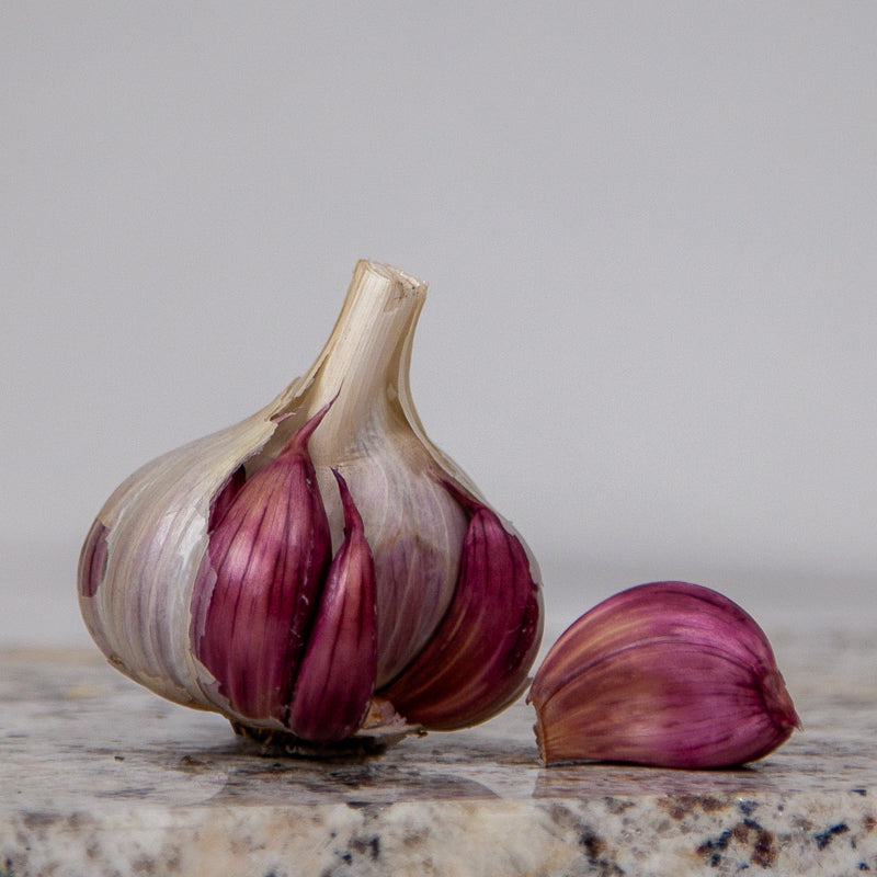 Spanish Roja Garlic (Lb) Grow Organic