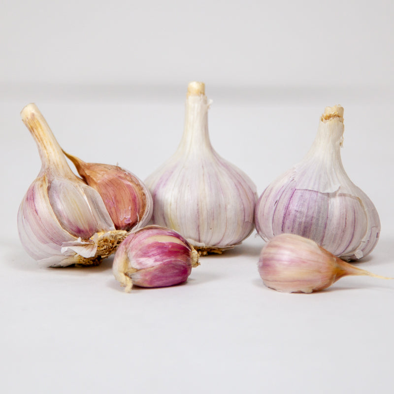 Organic Duganski Garlic (lb) Grow Organic