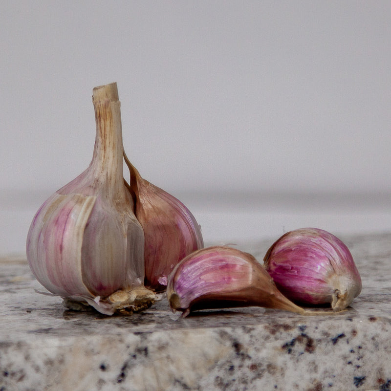 Organic Duganski Garlic (lb) Grow Organic