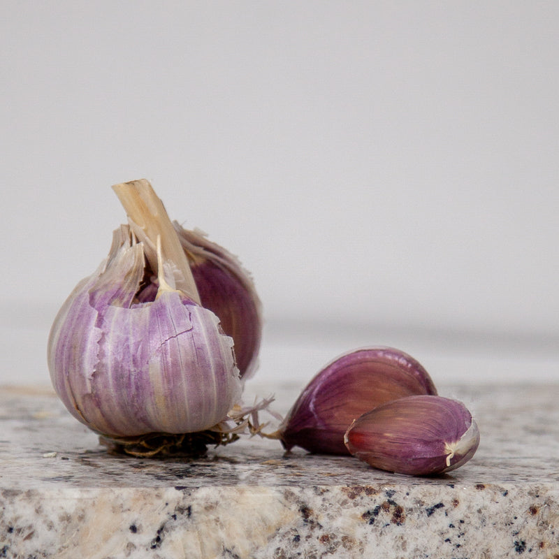 Organic Romanian Red Garlic (lb) Grow Organic