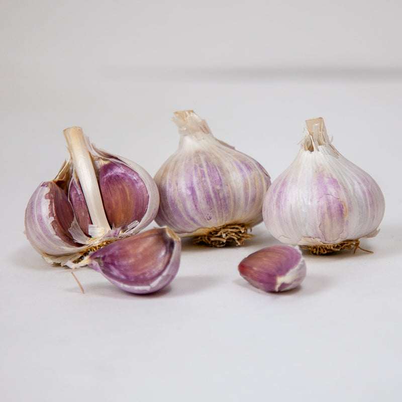 Organic Romanian Red Garlic (lb) Grow Organic