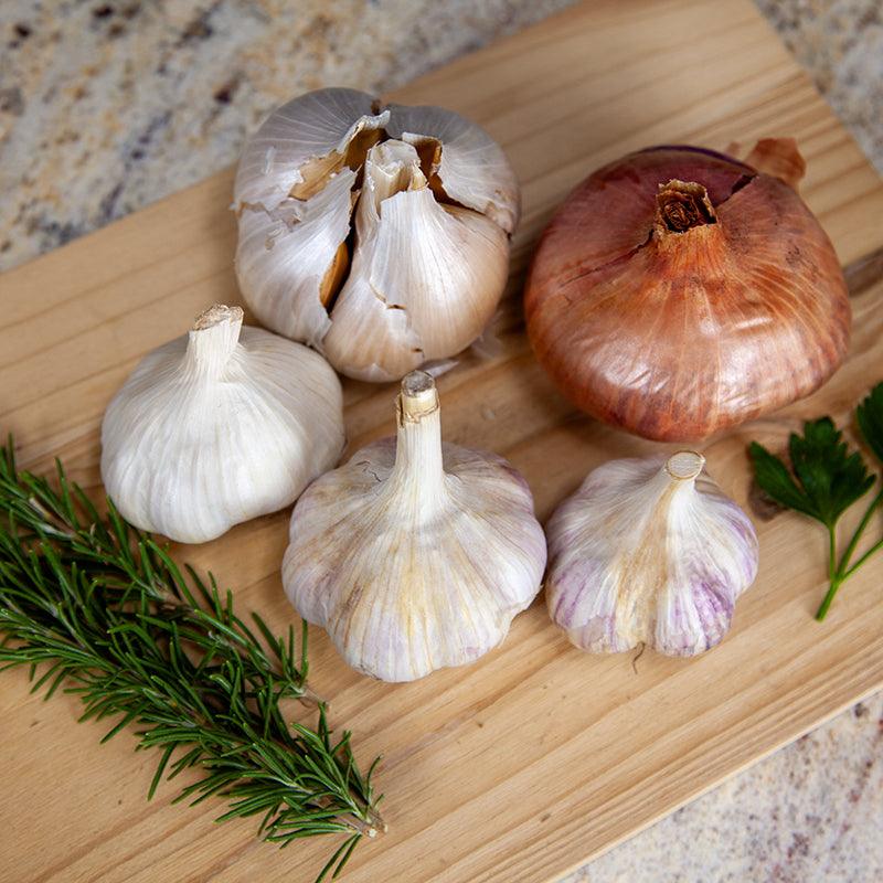 Garlic Combo Pack Grow Organic