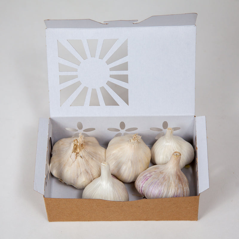 Full of Flavor Curated Organic Garlic Pack Grow Organic